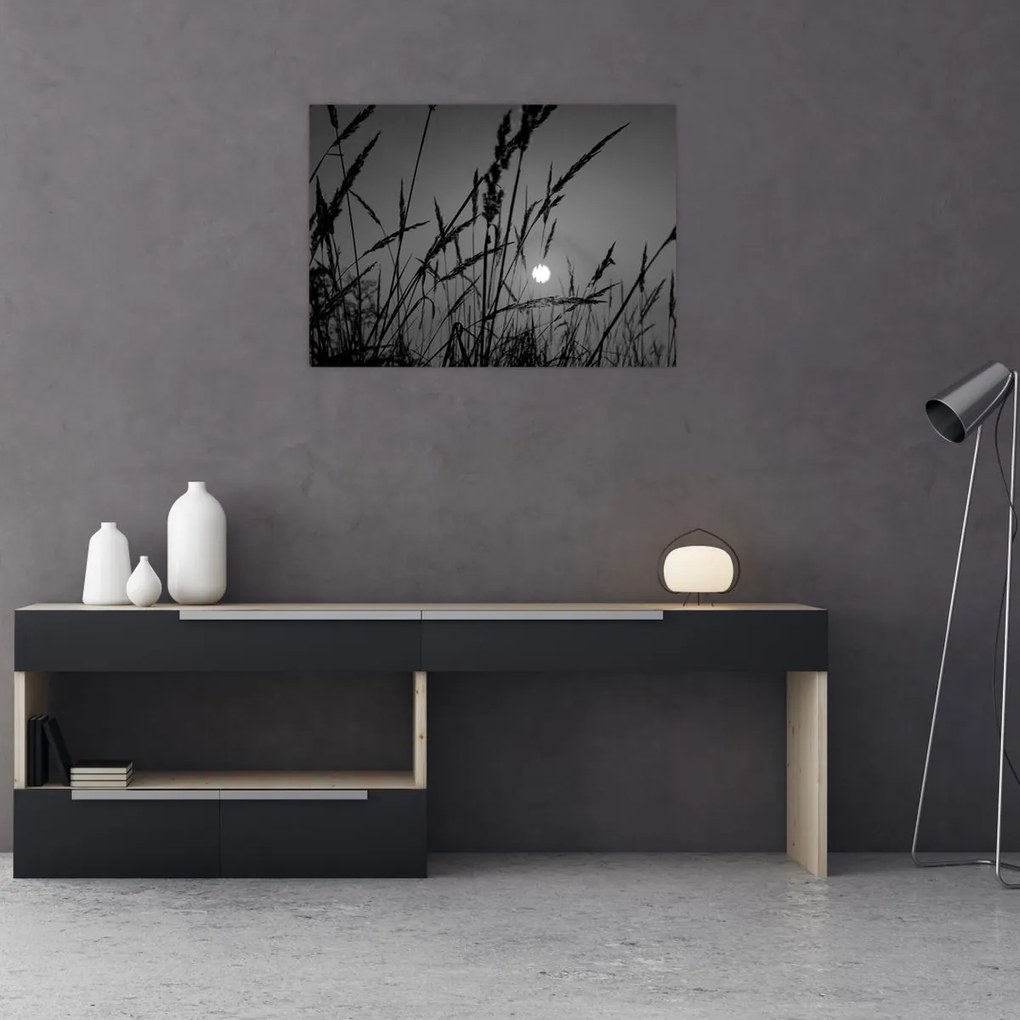 Obraz - Łąka z zachodem słońca (70x50 cm)