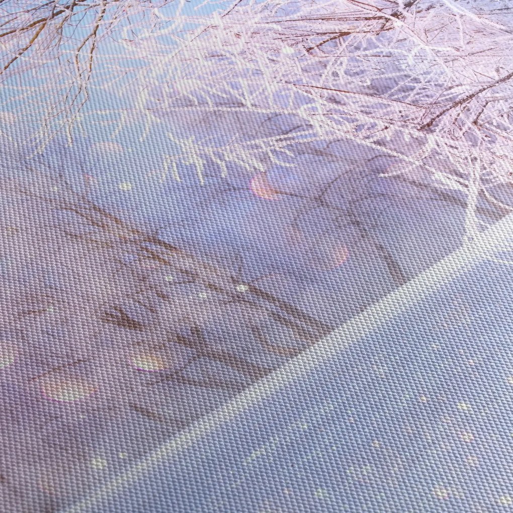 Obraz - Mroźna zima (170x50 cm)