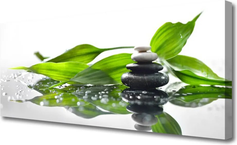 Obraz canvas Duet Kamienia i Liścia