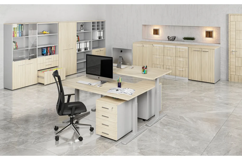 Szafa biurowa z drzwiami PRIMO GRAY, 2 półki, 1027 x 800 x 640 mm, szary/dąb naturalny