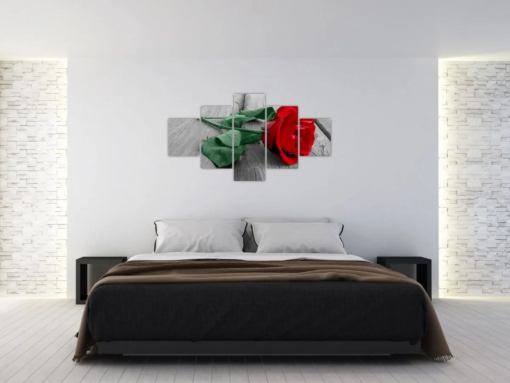 Obraz - Czerwona róża z zieloną łodygą (125x70 cm)