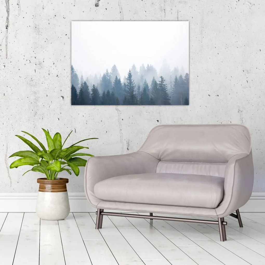Obraz na szkle - Mglisty las (70x50 cm)