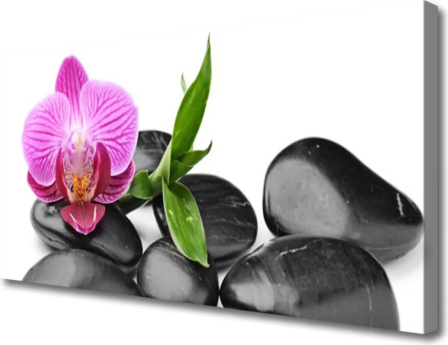 Obraz na płótnie Wyciszenie Zen: Kwiat i Kamień