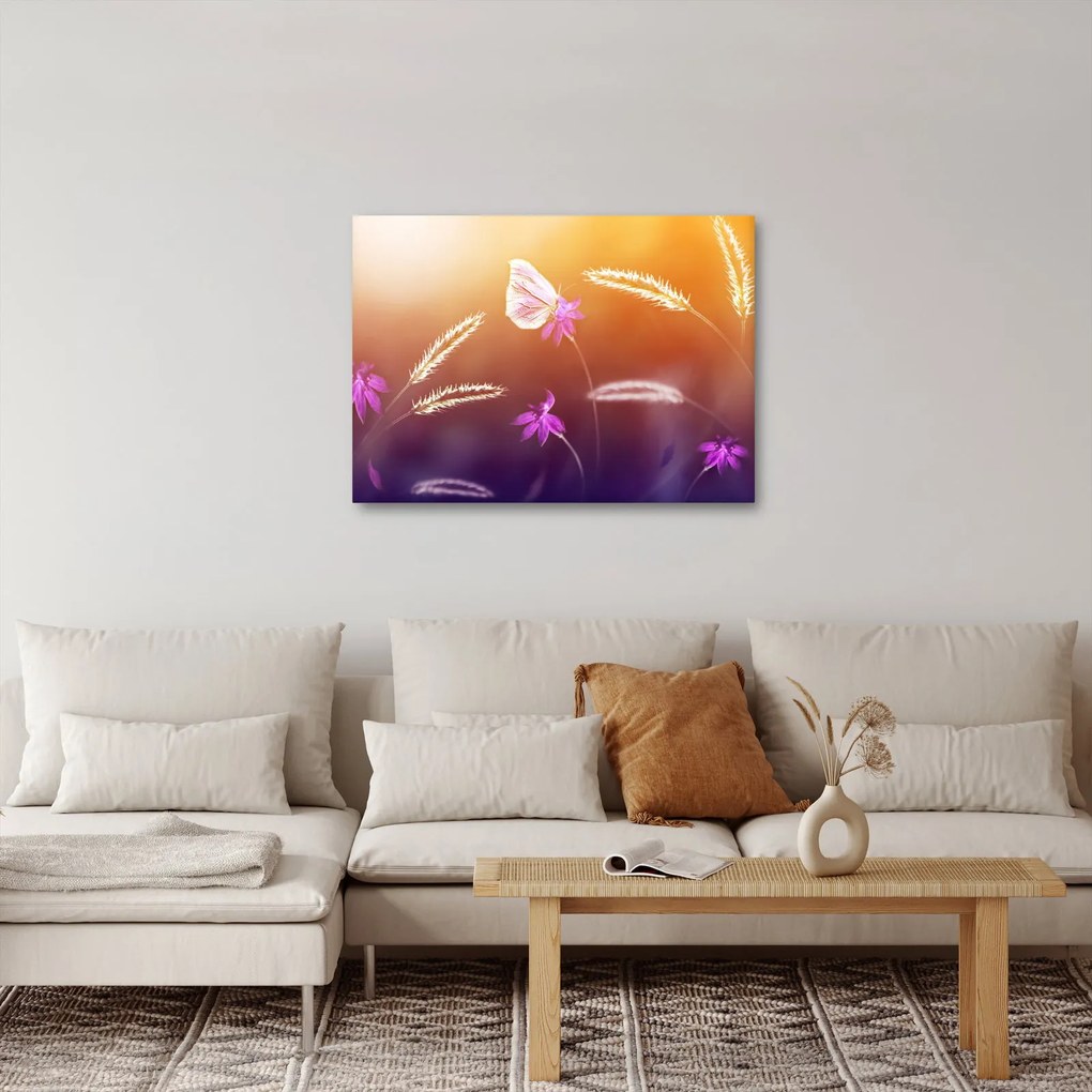 Obraz - Różowy motyl (70x50 cm)