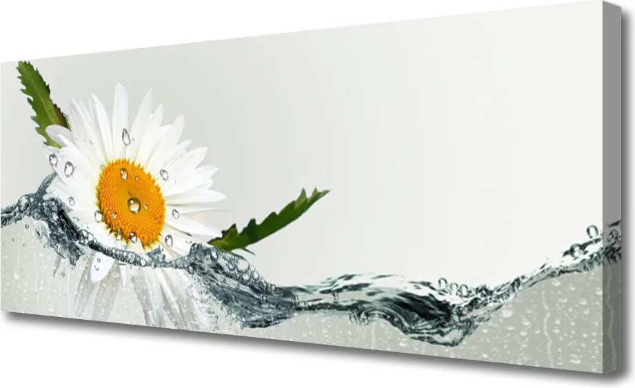 Obraz canvas Biała Stokrotka na Lustrze Wody