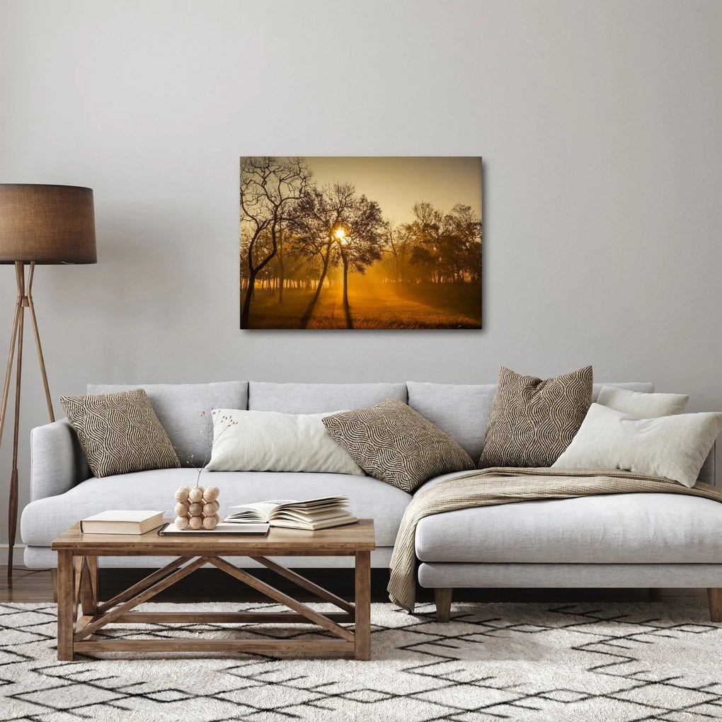 Obraz - Wschód słońca (70x50 cm)