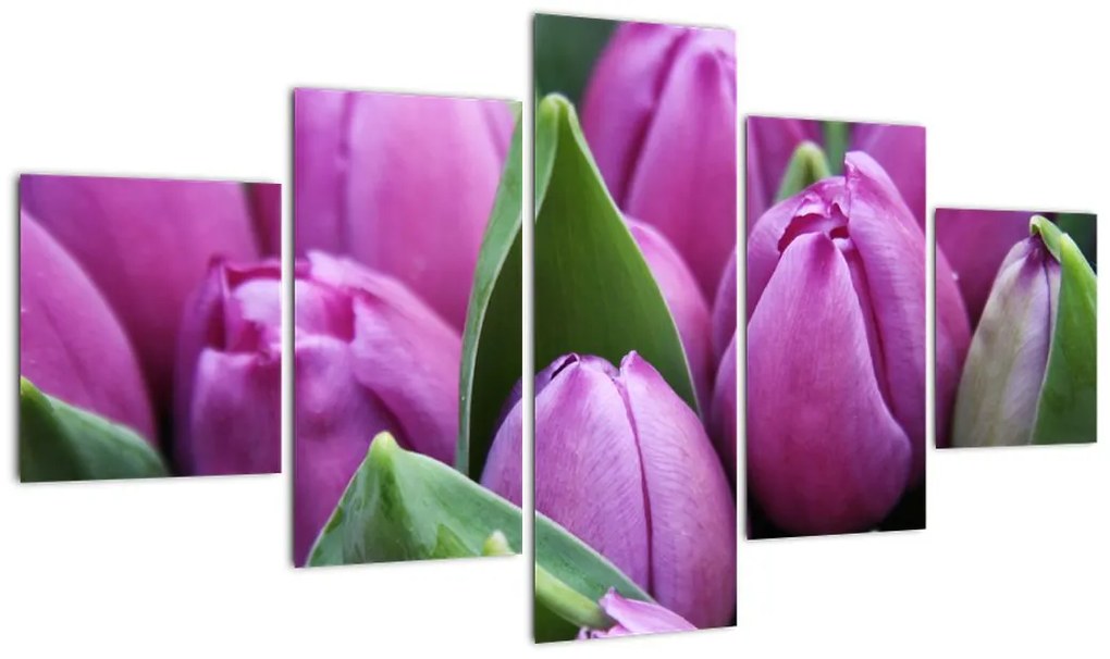 Obraz - kwiaty tulipanów (125x70 cm)