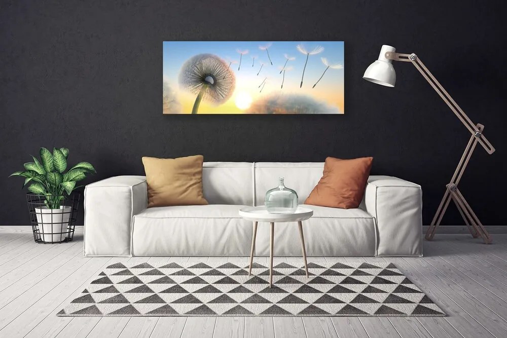 Obraz canvas Puszyste Parasolki Dmuchawca