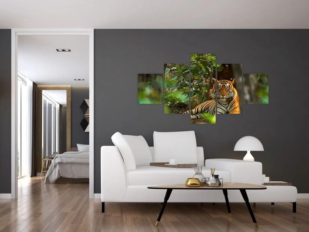Obraz odpoczywającego tygrysa (125x70 cm)