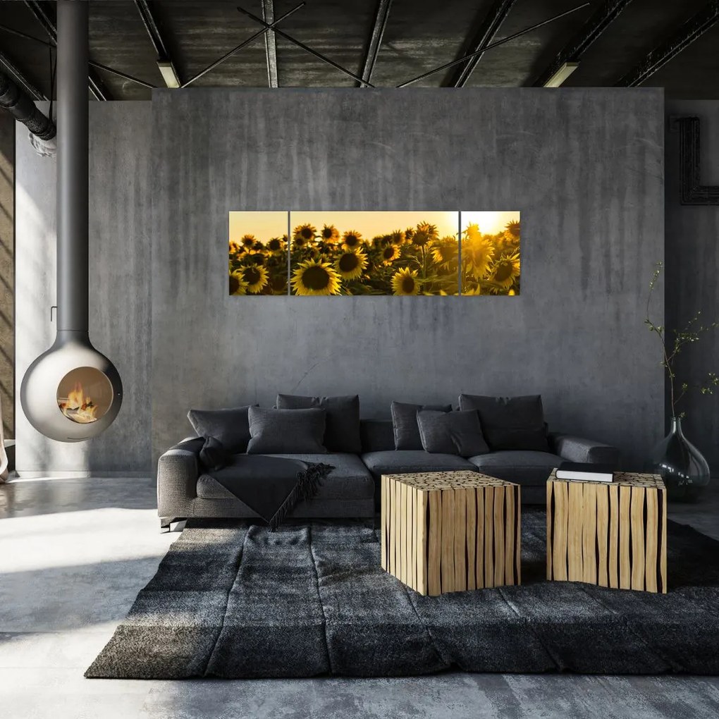 Obraz pola słoneczników (170x50 cm)