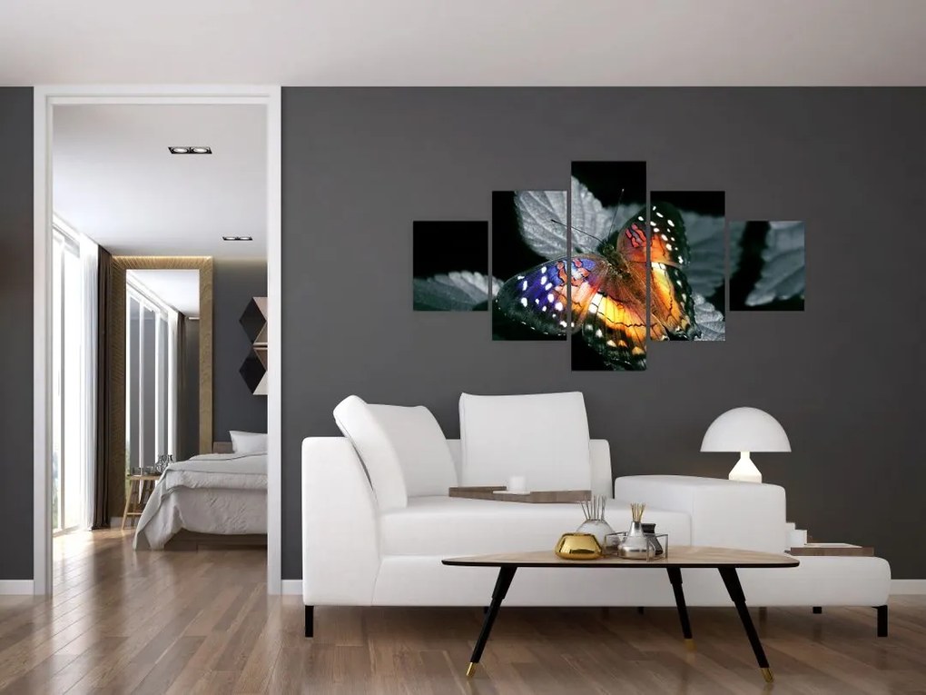 Obraz motyla (125x70 cm)