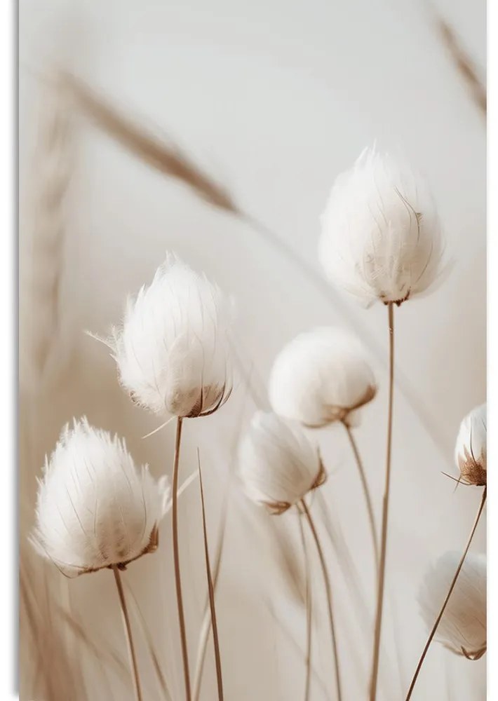 Obraz łodygi bawełny