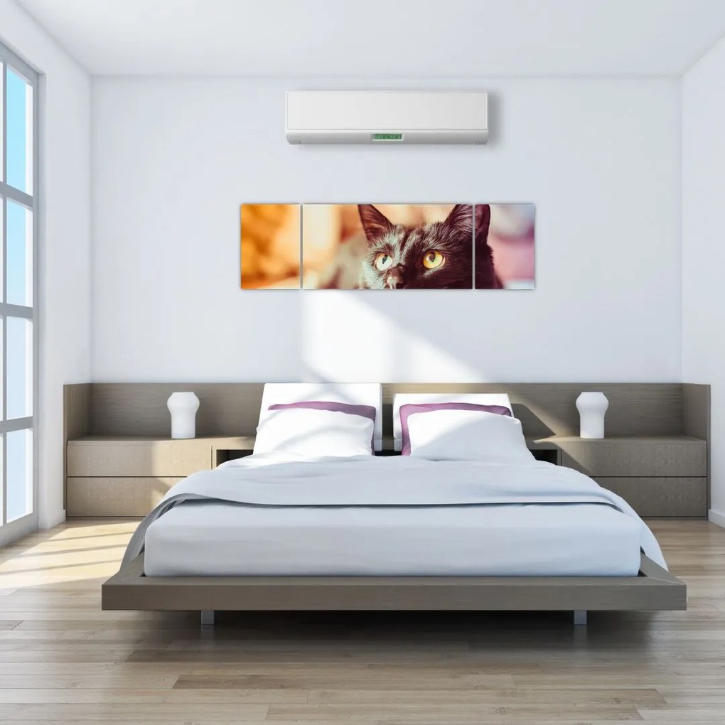 Obraz czarnego kota (170x50 cm)