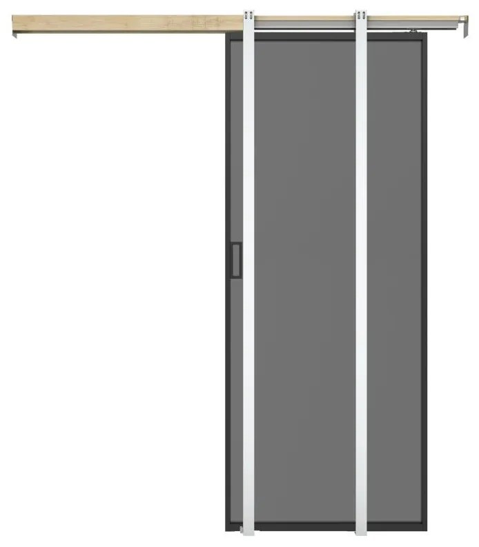 Drzwi przesuwne chowane w ścianie - aluminium i dymione matowe szkło hartowane - wys. 205 x szer. 63 cm - LINCI II