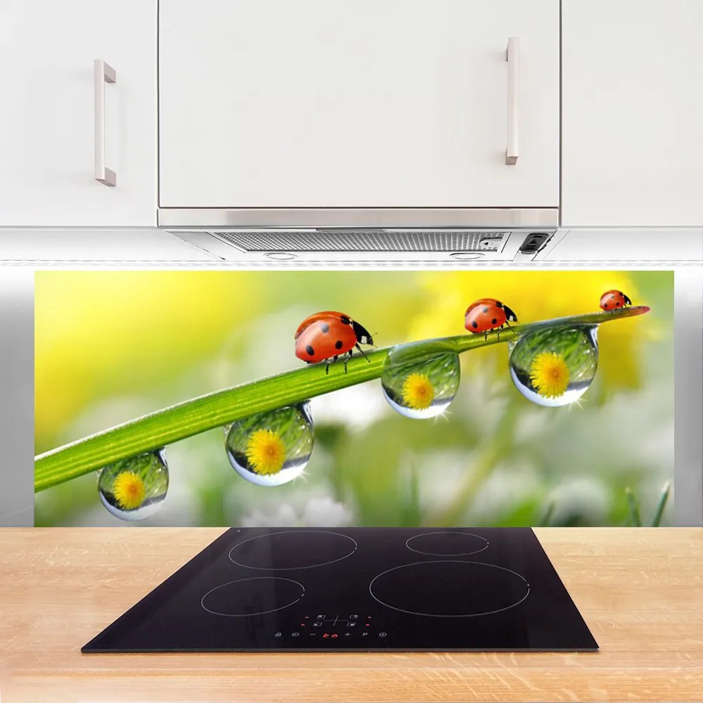 Panel Szklany Biedronka na Zielonym Liściu