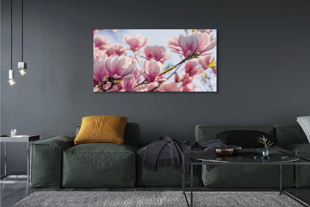 Duży obraz na płótnie Magnolia