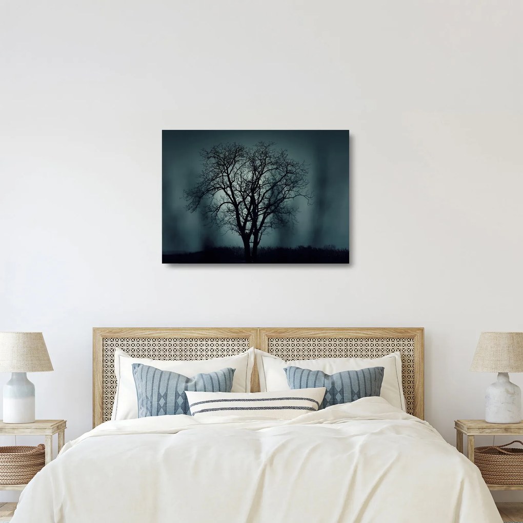 Obraz na szkle - drzew podczas zaćmienia (70x50 cm)
