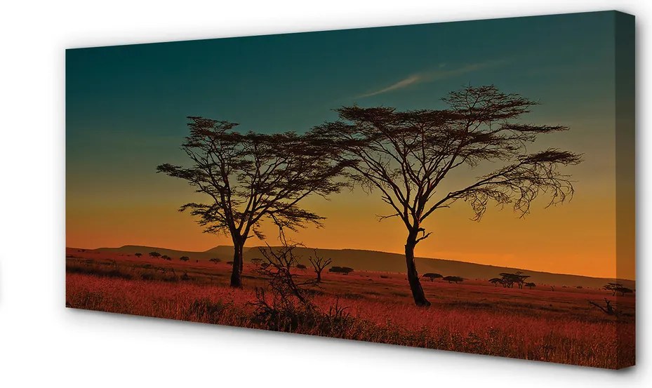 Duży obraz na płótnie Drzewa na Tle Nieba