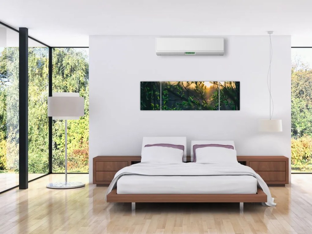 Obraz słońca przeświecającego przez gałęzie drzew (170x50 cm)