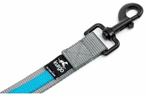 Kurgo® Quantum 2.0 Smycz dla psów, niebieski