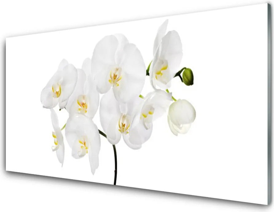 Panel Szklany Śnieżnobiały Storczyk w Detalu