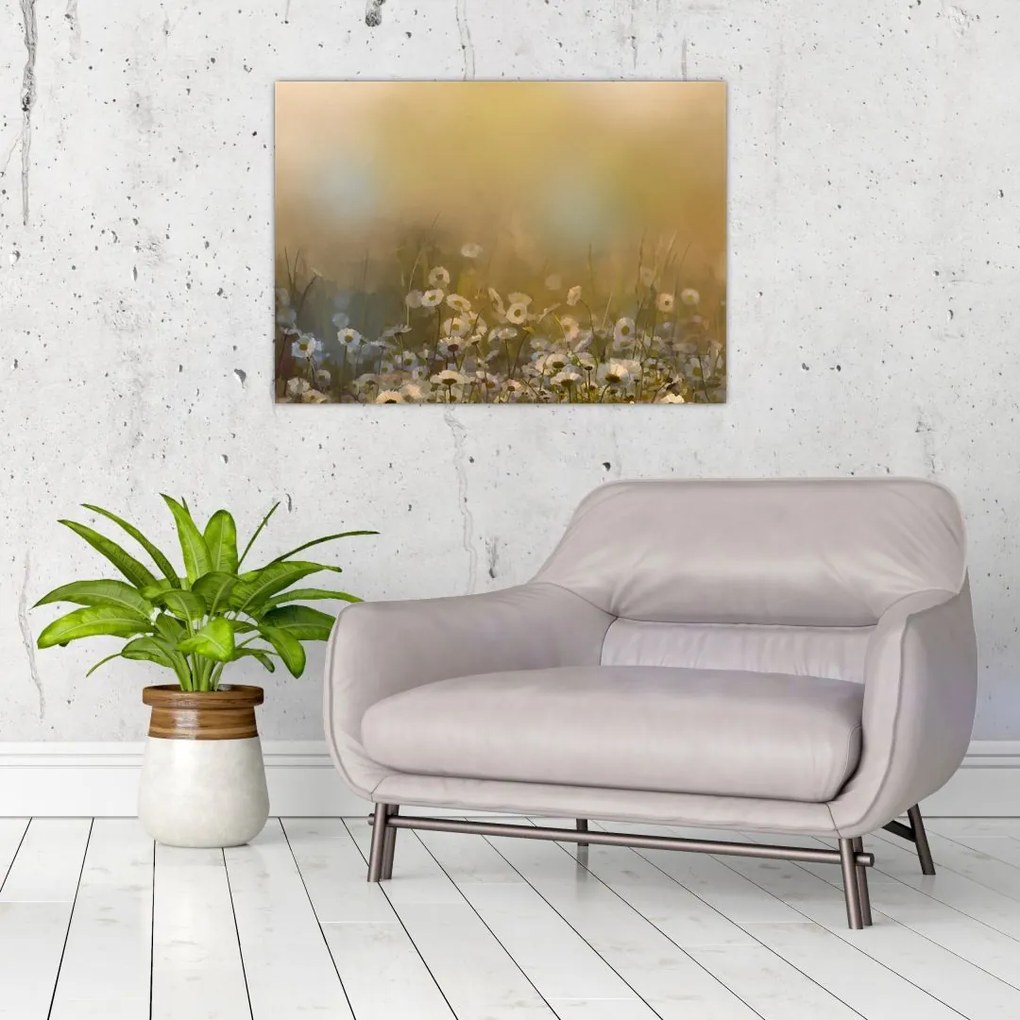 Obraz na szkle - Obraz na szkle olejny stokrotek (70x50 cm)