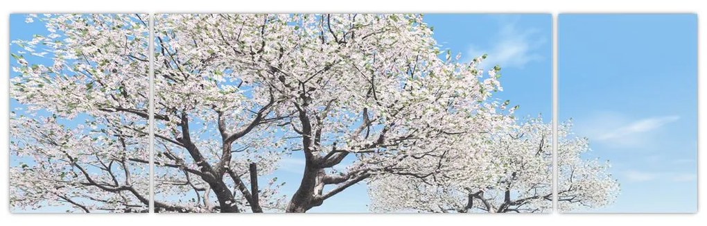 Obraz drzew (170x50 cm)
