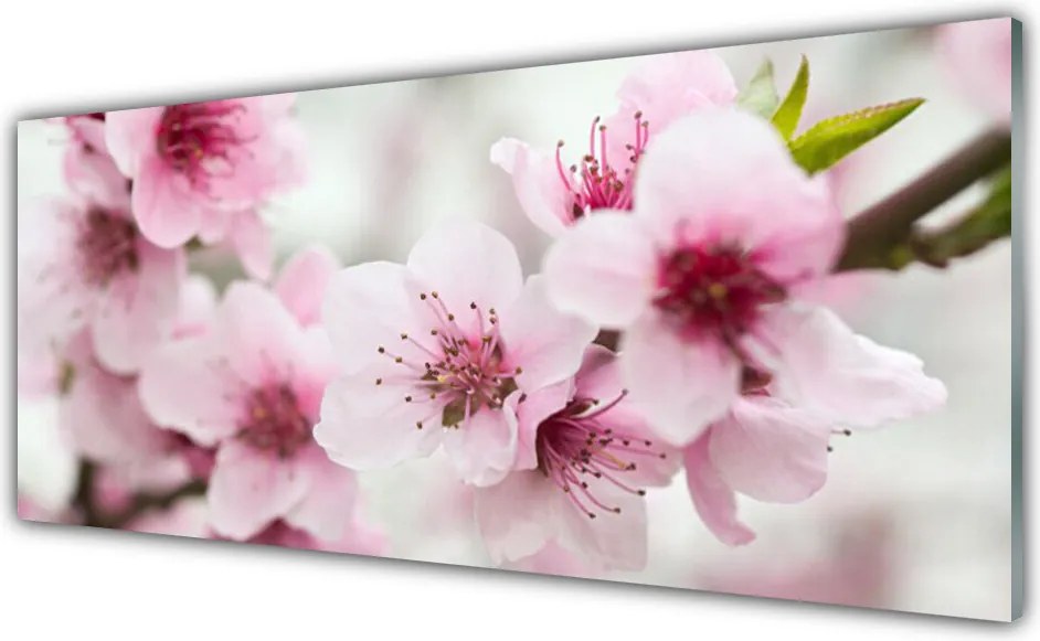 Panel Kuchenny Harmonijna Roślinność Kwiatowa