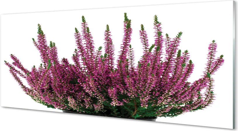 Szkło do Kuchni na Ścianę Kwiaty Wrzosu