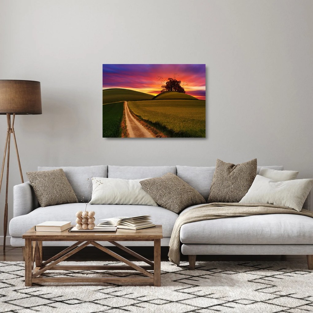 Obraz na szkle - pole i kolorowe niebo (70x50 cm)