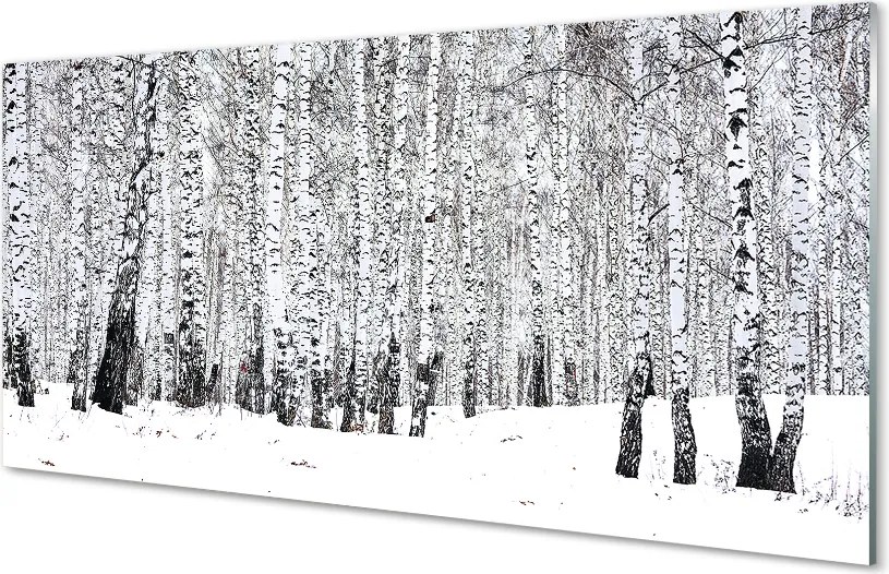 Szklany Panel Zimowy Las Brzozowy
