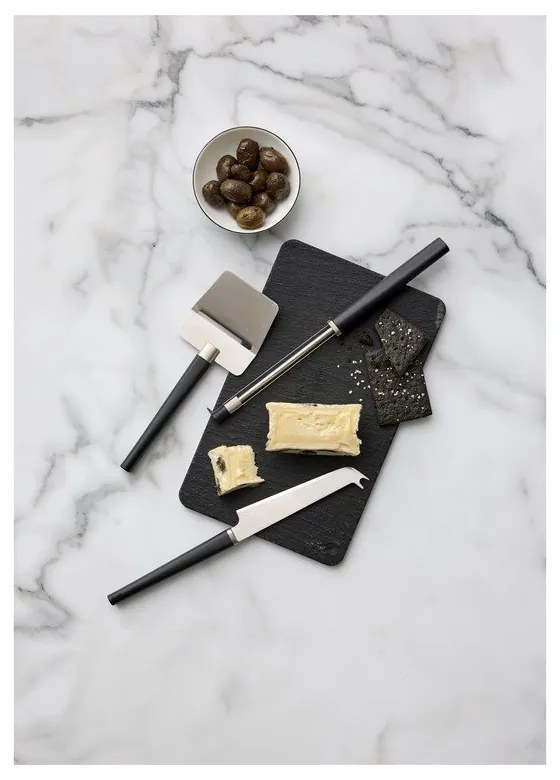 Zestaw noży do sera ze stali nierdzewnej 3 szt. Emma – Rosti