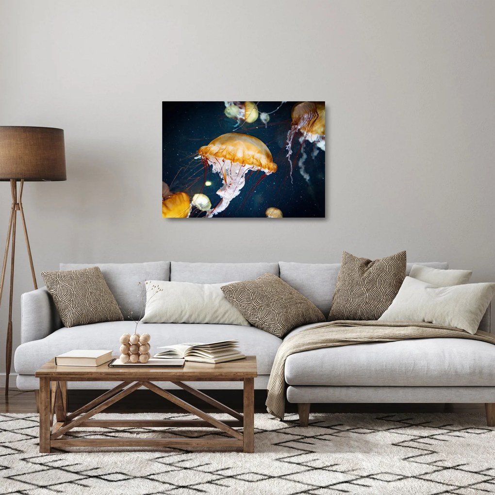 Obraz na szkle meduzy (70x50 cm)