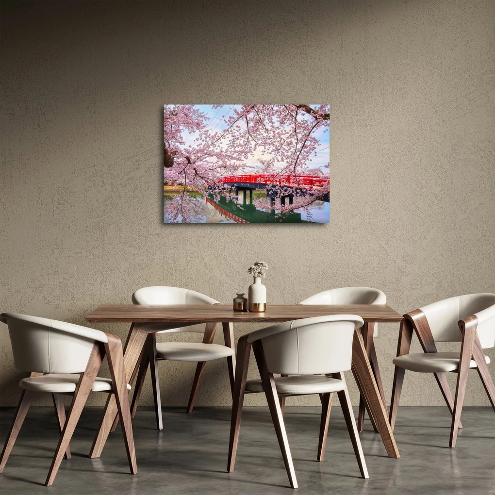 Obraz - Hirosaki, Japonia (70x50 cm)