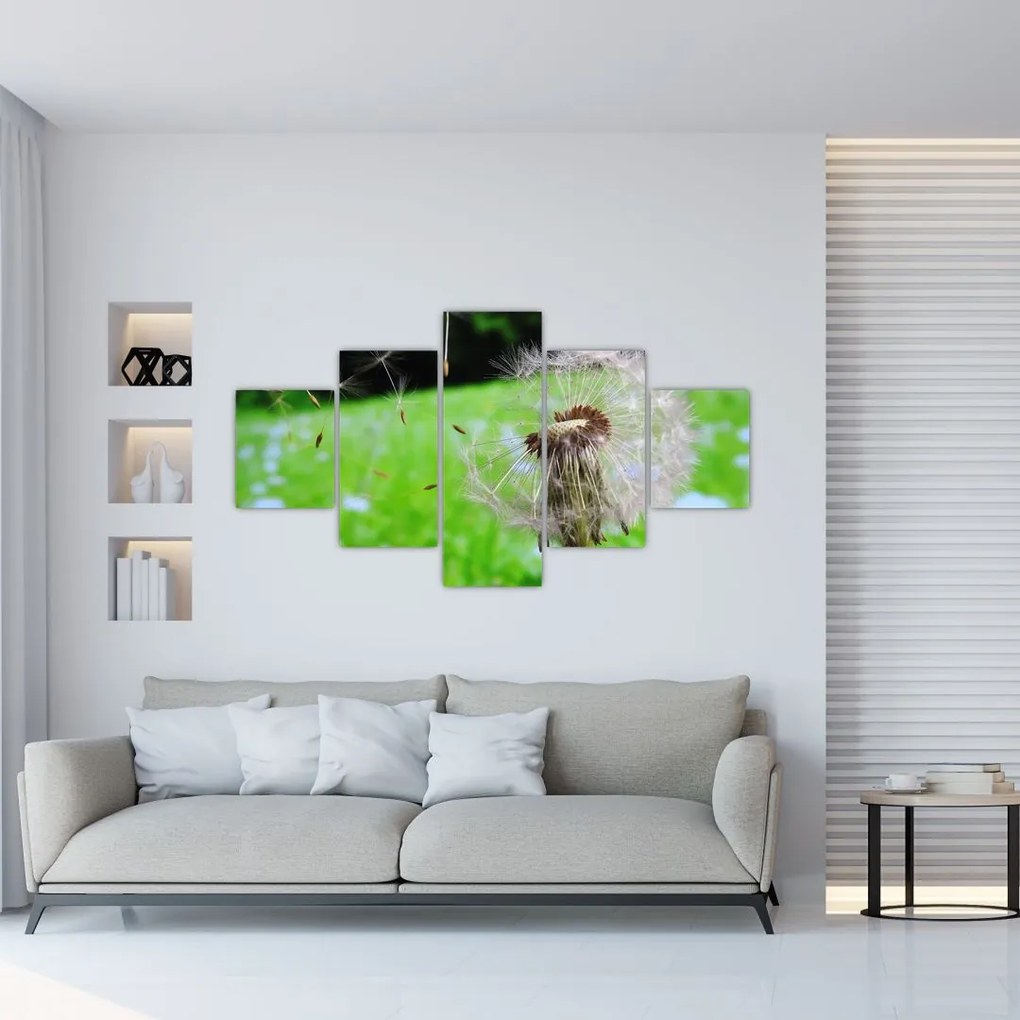 Obraz dmuchawca (125x70 cm)