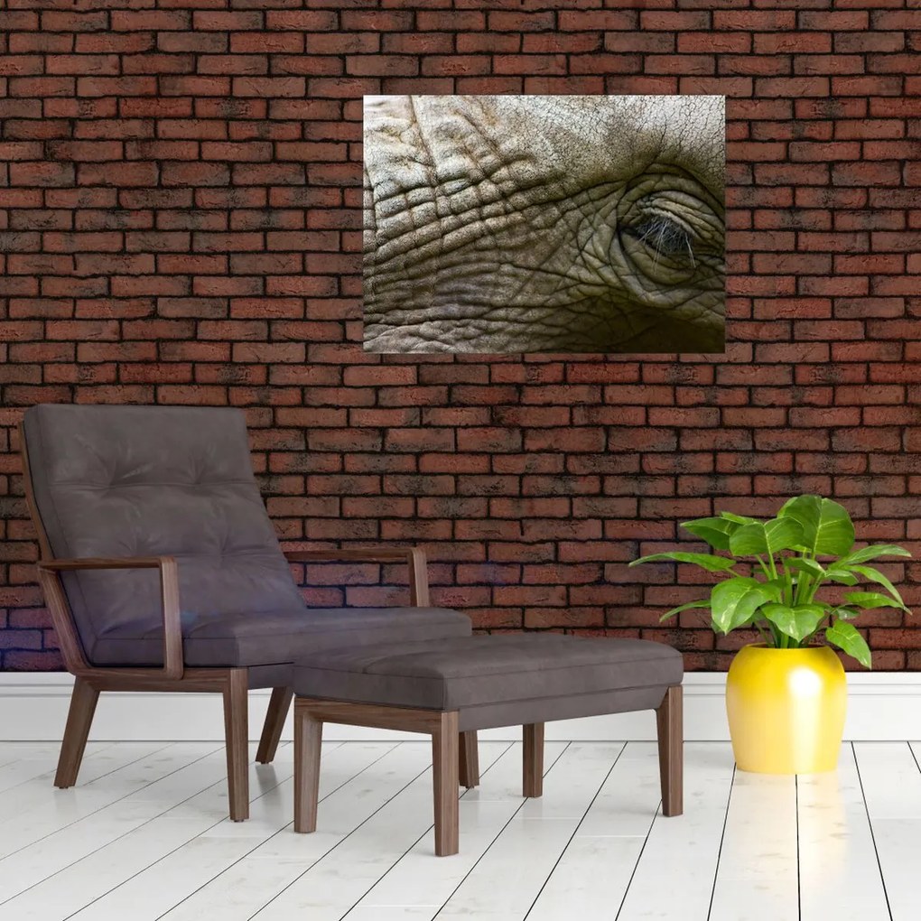Obraz - Zbliżenie na stare oko słonia (70x50 cm)