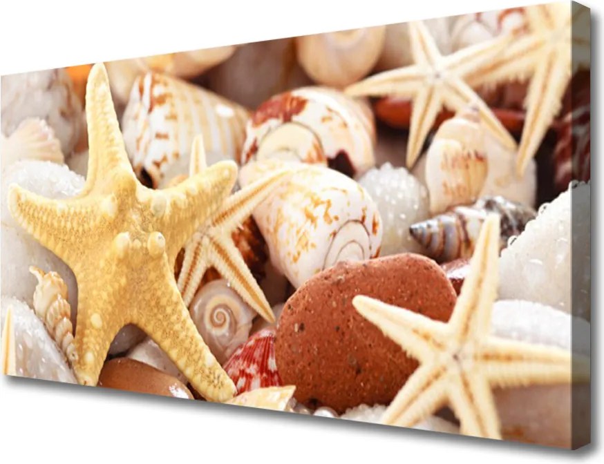Obraz canvas Kompozycja Muszli na Brzegu