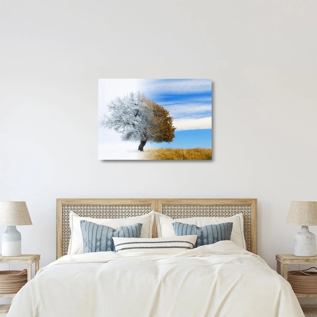 Obraz na szkle - Zmiana pór roku (70x50 cm)