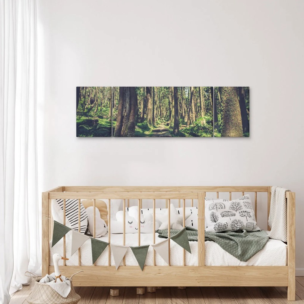 Obraz ścieżki pomiędzy drzewami (170x50 cm)