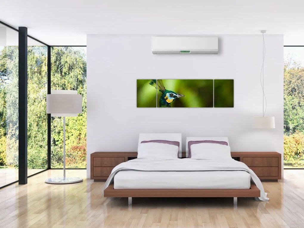 Obraz pawia (170x50 cm)