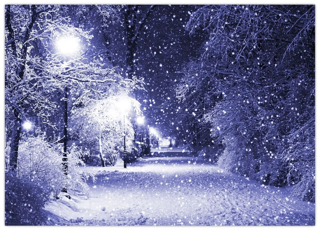 Obraz na szkle - Magiczna zimowa noc (70x50 cm)