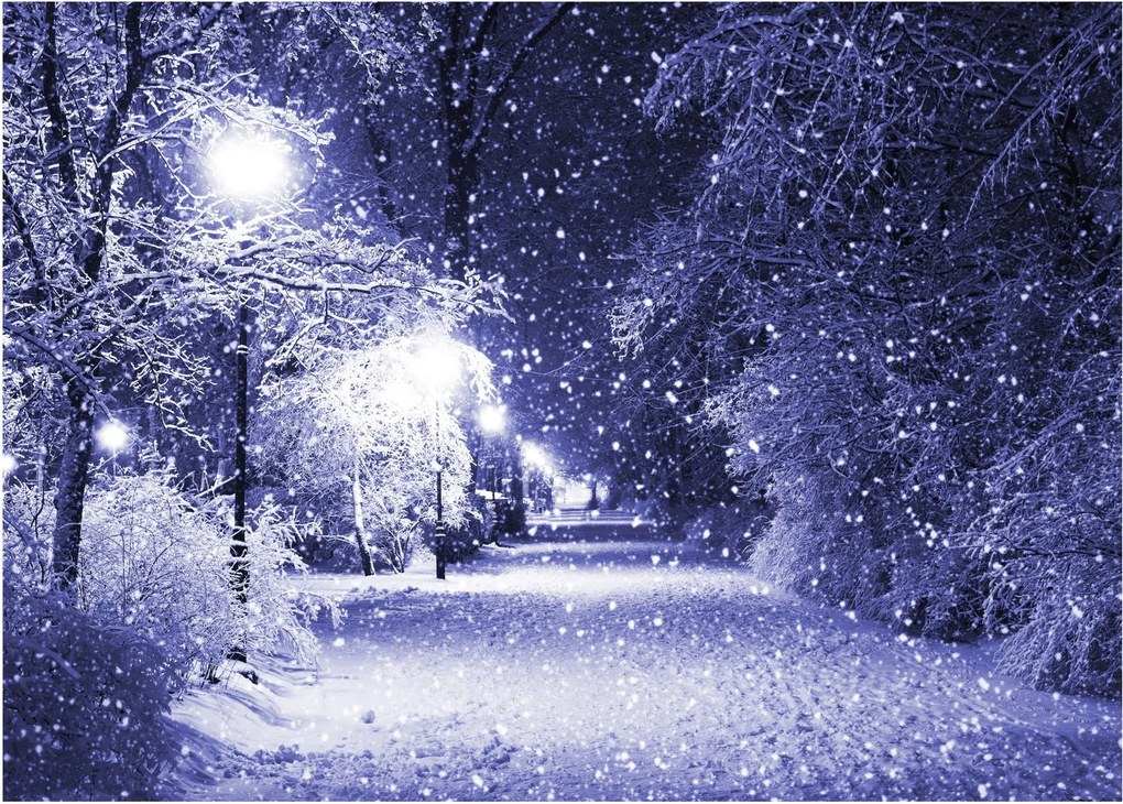 Obraz - Magiczna zimowa noc (70x50 cm)