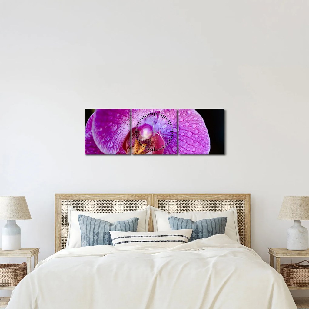 Obraz - Zbliżenie kwiatu orchidei (z zegarem) (90x30 cm)