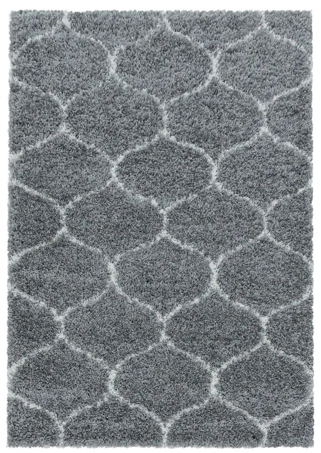 Szary dywan 120x170 cm Salsa – Ayyildiz Carpets