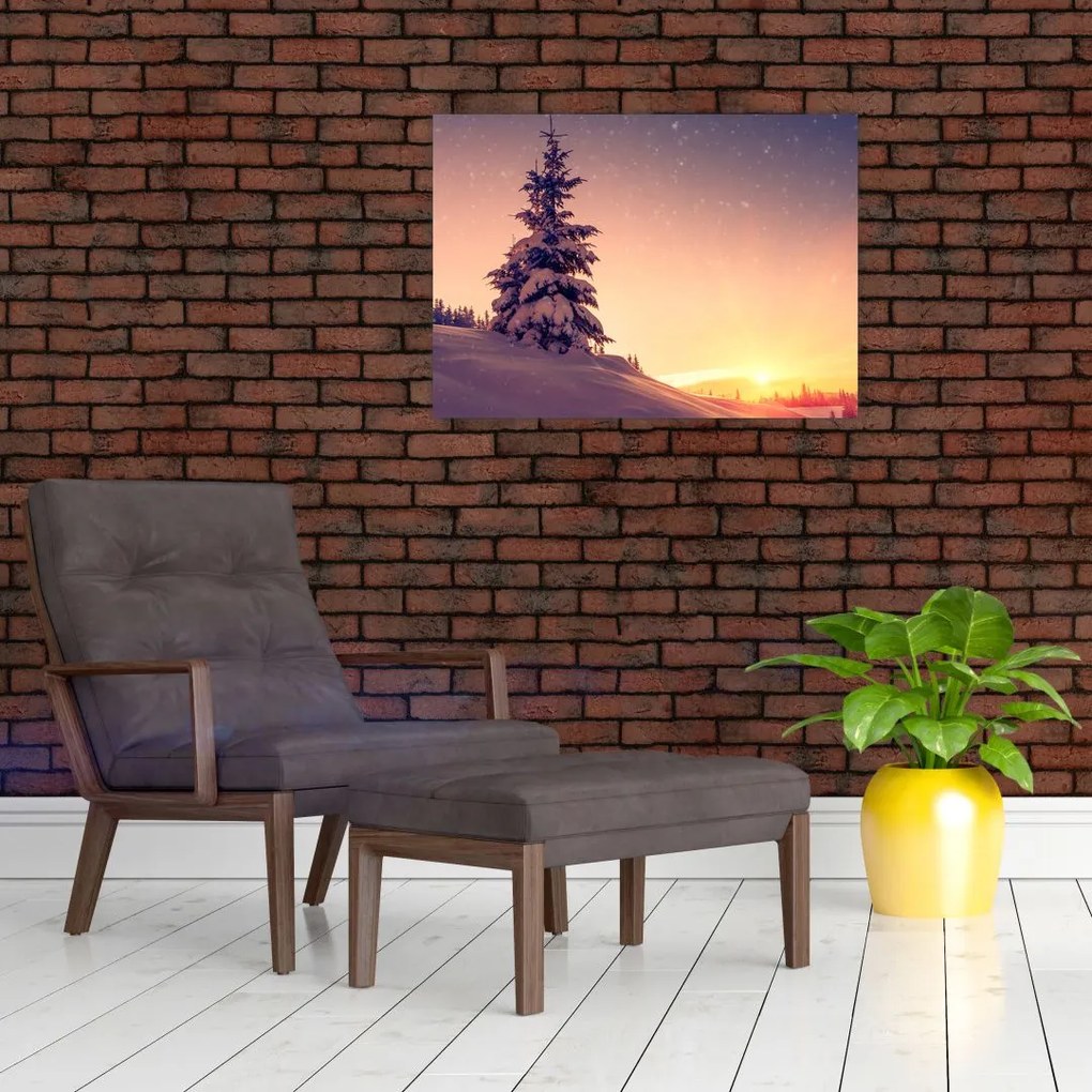 Obraz na szkle - ośnieżone drzewo na łące (70x50 cm)