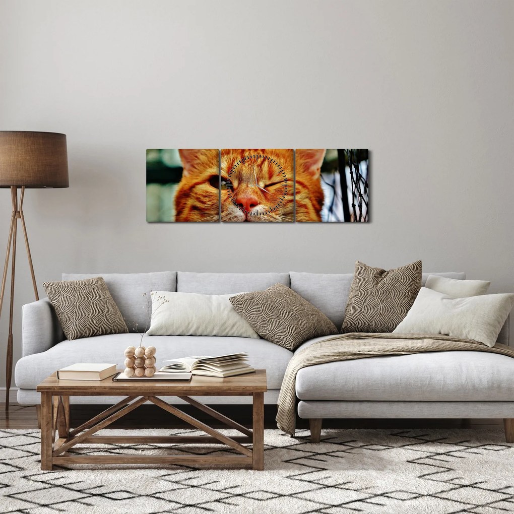 Obraz mrugającego kota (z zegarem) (90x30 cm)