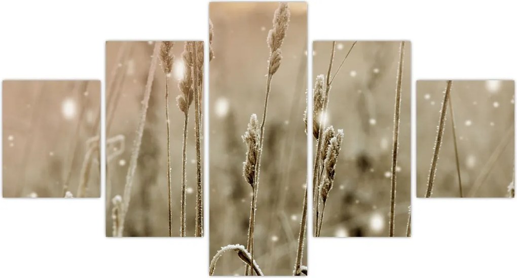 Obraz - Harmonious Meadow (125x70 cm)