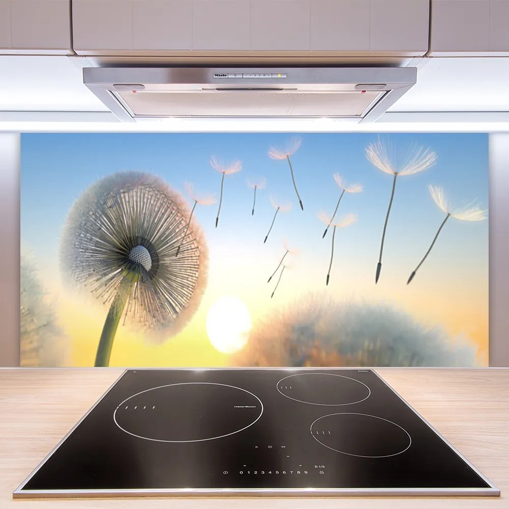 Panel Szklany Puszyste Parasolki Dmuchawca