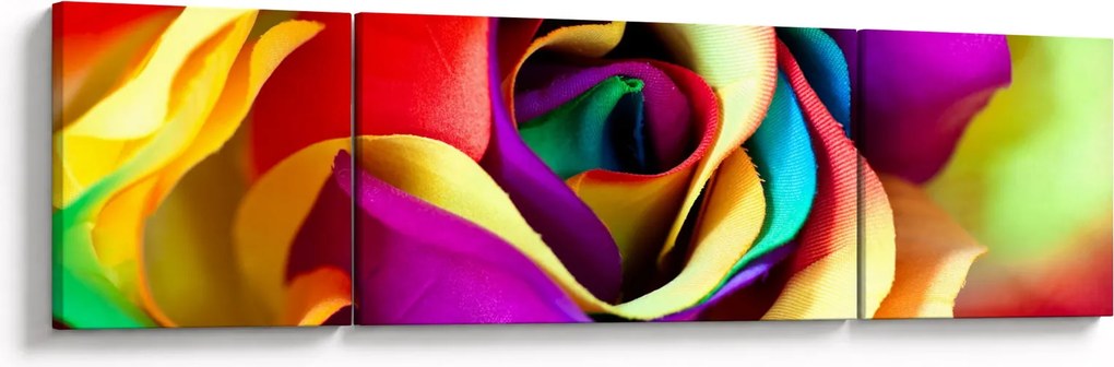 Obraz - Kolorowa róża (170x50 cm)