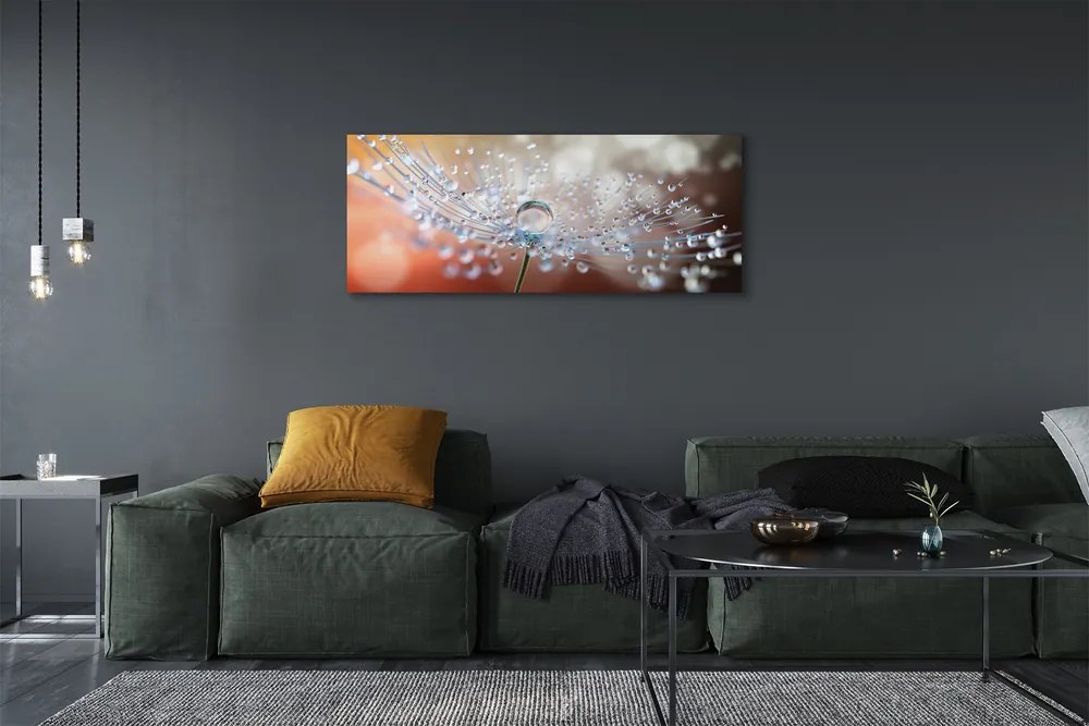 Obraz na płótnie Poranny Detal Dmuchawca